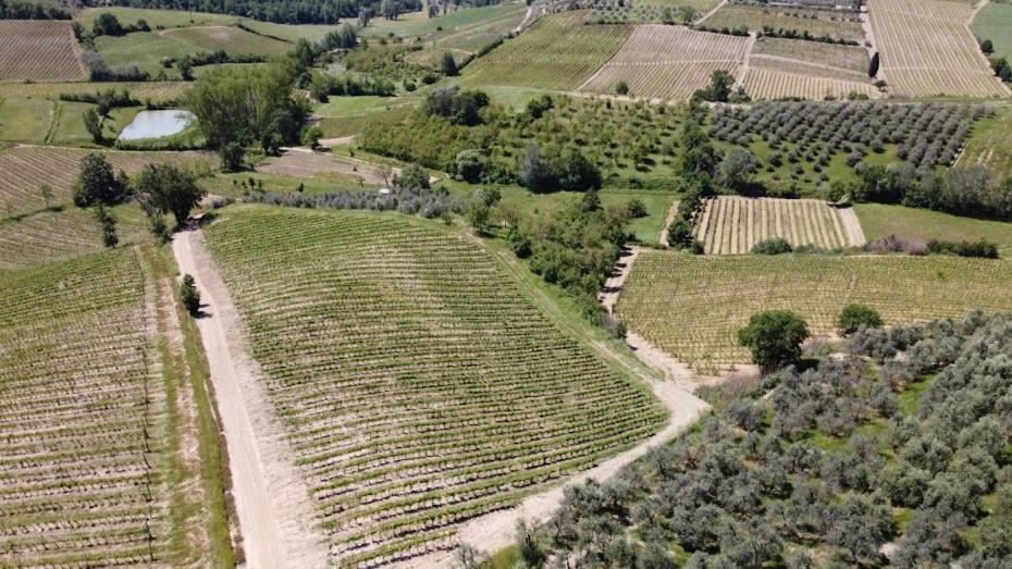 Poggio Al Sole Apartman Montespertoli Kültér fotó